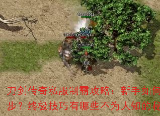 刀剑传奇私服制霸攻略:新手如何快速起步?终极技巧有哪些不为人知的秘密? 刀剑传奇私服制霸攻略:新手如何快速起步?终极技巧有哪些不为人知的秘密?