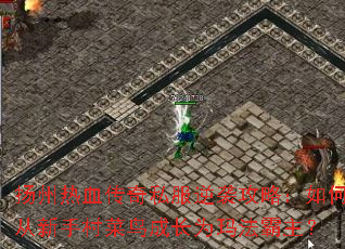 扬州热血传奇私服逆袭攻略:如何从新手村菜鸟成长为玛法霸主? 扬州热血传奇私服逆袭攻略:如何从新手村菜鸟成长为玛法霸主?