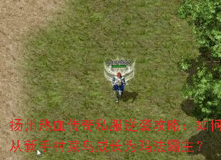 扬州热血传奇私服逆袭攻略:如何从新手村菜鸟成长为玛法霸主? 扬州热血传奇私服逆袭攻略:如何从新手村菜鸟成长为玛法霸主?