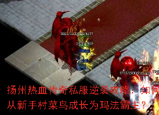 扬州热血传奇私服逆袭攻略:如何从新手村菜鸟成长为玛法霸主? 扬州热血传奇私服逆袭攻略:如何从新手村菜鸟成长为玛法霸主?