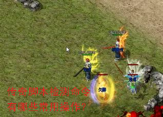 传奇脚本检测命令有哪些常用操作? 传奇脚本检测命令有哪些常用操作?
