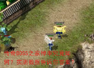 传奇BOSS之家掉率究竟如何?实测数据告诉你答案? 传奇BOSS之家掉率究竟如何?实测数据告诉你答案?