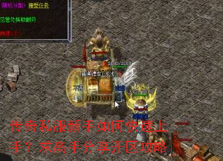 传奇私服新手如何快速上手?求高手分享开区攻略 传奇私服新手如何快速上手?求高手分享开区攻略