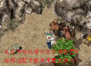 木瓜传奇私服中变态神器属性如何搭配才能发挥最大威力? 木瓜传奇私服中变态神器属性如何搭配才能发挥最大威力?