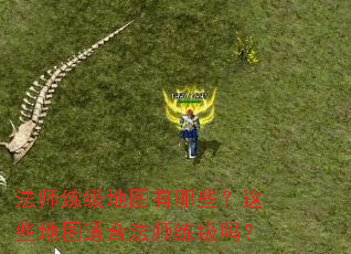 法师练级地图有哪些?这些地图适合法师练级吗? 法师练级地图有哪些?这些地图适合法师练级吗?