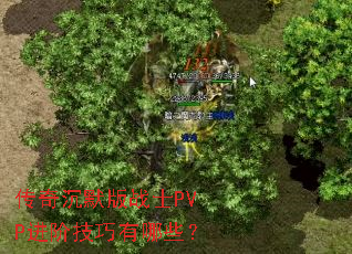 �����Ĭ��սʿPVP���׼�������Щ��
