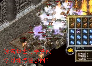 冰雪复古传奇技能学习地点在哪问? 冰雪复古传奇技能学习地点在哪问?