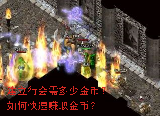 建立行会需多少金币?如何快速赚取金币? 建立行会需多少金币?如何快速赚取金币?