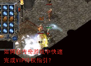 ����ڴ�����Ϸ�п������VIP��Ȩָ����