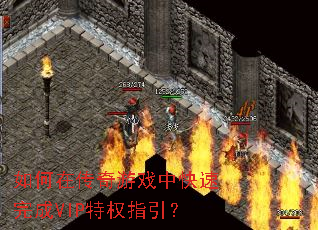 ����ڴ�����Ϸ�п������VIP��Ȩָ����