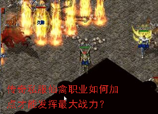 传奇私服仙禽职业如何加点才能发挥最大战力? 传奇私服仙禽职业如何加点才能发挥最大战力?