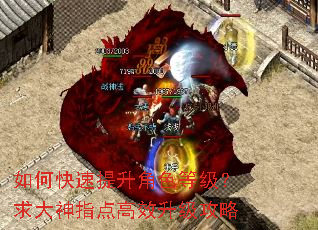 如何快速提升角色等级?求大神指点高效升级攻略 如何快速提升角色等级?求大神指点高效升级攻略