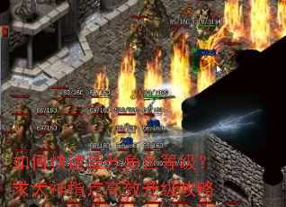 如何快速提升角色等级?求大神指点高效升级攻略 如何快速提升角色等级?求大神指点高效升级攻略
