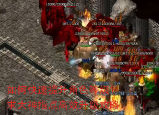 如何快速提升角色等级?求大神指点高效升级攻略 如何快速提升角色等级?求大神指点高效升级攻略