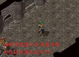 如何快速提升全网通传奇合击版本角色战斗力? 如何快速提升全网通传奇合击版本角色战斗力?