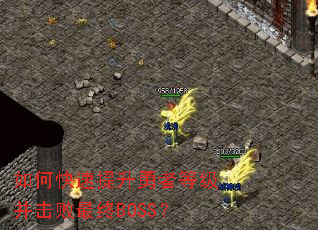如何快速提升勇者等级并击败最终BOSS? 如何快速提升勇者等级并击败最终BOSS?