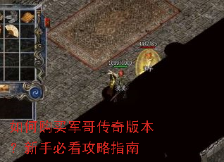 ��ι�����紫��汾�����ֱؿ�����ָ��