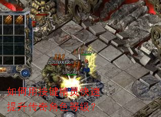 如何用按键精灵快速提升传奇角色等级? 如何用按键精灵快速提升传奇角色等级?