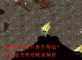 如何快速提升角色等级?99私服传奇攻略全解析 如何快速提升角色等级?99私服传奇攻略全解析