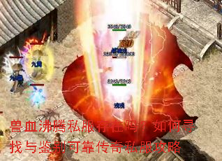 ��Ѫ����˽�����������Ѱ�������ɿ�����˽������