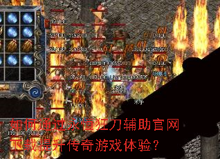 ���ͨ������񵶸���������������������Ϸ���飿