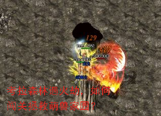 考拉森林遇火劫,如何闯关拯救萌兽家园? 考拉森林遇火劫,如何闯关拯救萌兽家园?