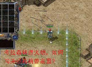 考拉森林遇火劫,如何闯关拯救萌兽家园? 考拉森林遇火劫,如何闯关拯救萌兽家园?