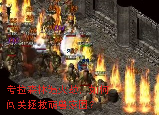 考拉森林遇火劫,如何闯关拯救萌兽家园? 考拉森林遇火劫,如何闯关拯救萌兽家园?