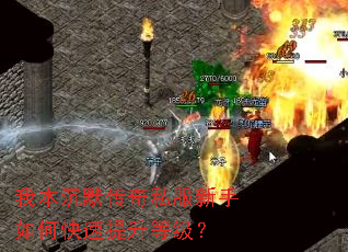 我本沉默传奇私服新手如何快速提升等级? 我本沉默传奇私服新手如何快速提升等级?