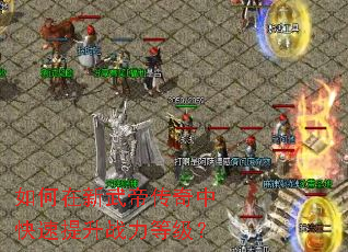 如何在新武帝传奇中快速提升战力等级? 如何在新武帝传奇中快速提升战力等级?