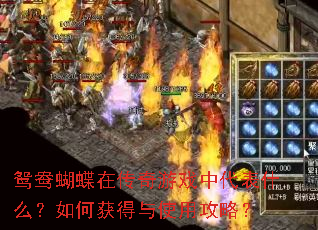 鸳鸯蝴蝶在传奇游戏中代表什么?如何获得与使用攻略? 鸳鸯蝴蝶在传奇游戏中代表什么?如何获得与使用攻略?