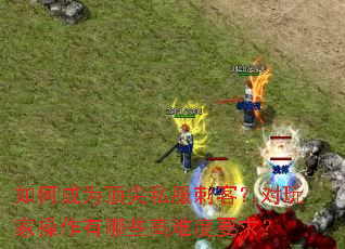 如何成为顶尖私服刺客?对玩家操作有哪些高难度要求? 如何成为顶尖私服刺客?对玩家操作有哪些高难度要求?