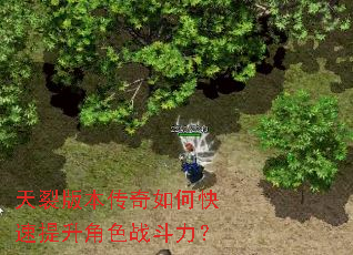 天裂版本传奇如何快速提升角色战斗力? 天裂版本传奇如何快速提升角色战斗力?