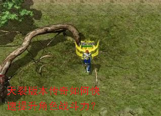 天裂版本传奇如何快速提升角色战斗力? 天裂版本传奇如何快速提升角色战斗力?