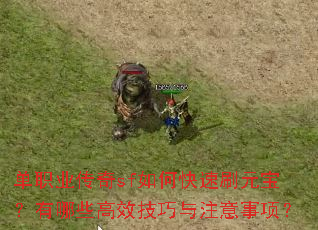 单职业传奇sf如何快速刷元宝?有哪些高效技巧与注意事项? 单职业传奇sf如何快速刷元宝?有哪些高效技巧与注意事项?