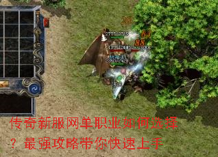 传奇新服网单职业如何选择?最强攻略带你快速上手 传奇新服网单职业如何选择?最强攻略带你快速上手