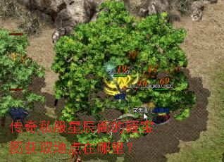 传奇私服星辰阁的藏宝图获取地点在哪里? 传奇私服星辰阁的藏宝图获取地点在哪里?