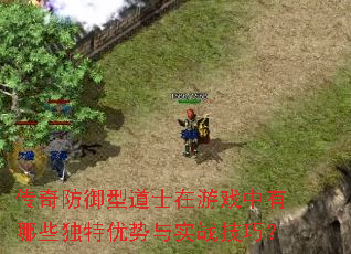 传奇防御型道士在游戏中有哪些独特优势与实战技巧? 传奇防御型道士在游戏中有哪些独特优势与实战技巧?