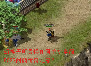 幻神无所畏惧如何单挑全服BOSS问鼎传奇之巅? 幻神无所畏惧如何单挑全服BOSS问鼎传奇之巅?