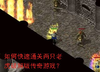 如何快速通关两只老虎破解版传奇游戏? 如何快速通关两只老虎破解版传奇游戏?