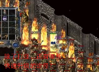 除了打怪,还有哪些快速升级的途径? 除了打怪,还有哪些快速升级的途径?