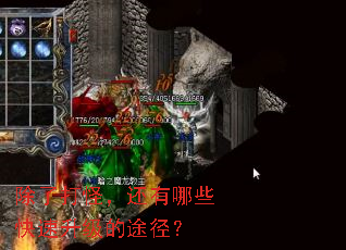 除了打怪,还有哪些快速升级的途径? 除了打怪,还有哪些快速升级的途径?