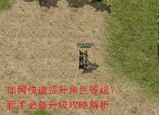 如何快速提升角色等级?新手必备升级攻略解析 如何快速提升角色等级?新手必备升级攻略解析