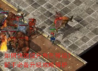 如何快速提升角色等级?新手必备升级攻略解析 如何快速提升角色等级?新手必备升级攻略解析
