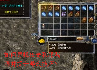 如何寻找传奇私服漏洞并提升游戏技巧? 如何寻找传奇私服漏洞并提升游戏技巧?