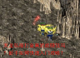 天龙私服打金真的能赚钱吗?新手如何快速入门攻略? 天龙私服打金真的能赚钱吗?新手如何快速入门攻略?