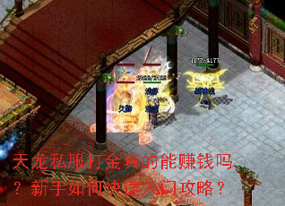 天龙私服打金真的能赚钱吗?新手如何快速入门攻略? 天龙私服打金真的能赚钱吗?新手如何快速入门攻略?