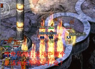 传奇私服打金服中哪个更适合长期稳定打金? 传奇私服打金服中哪个更适合长期稳定打金?