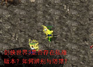 剑侠世界3是否存在私服版本?如何辨别与防范? 剑侠世界3是否存在私服版本?如何辨别与防范?