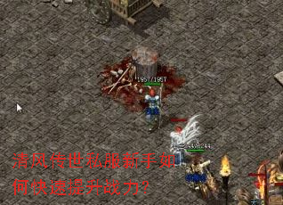 ��紫��˽��������ο�������ս����